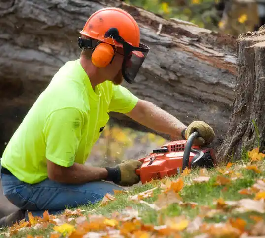 tree services El Valle de Arroyo Seco